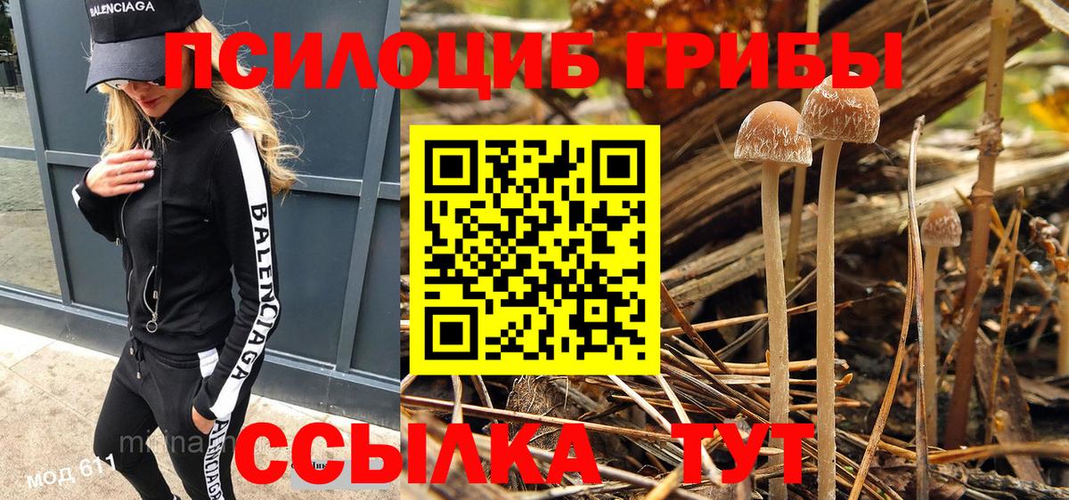 Галлюциногенные грибы прущие грибы Орехово-Зуево